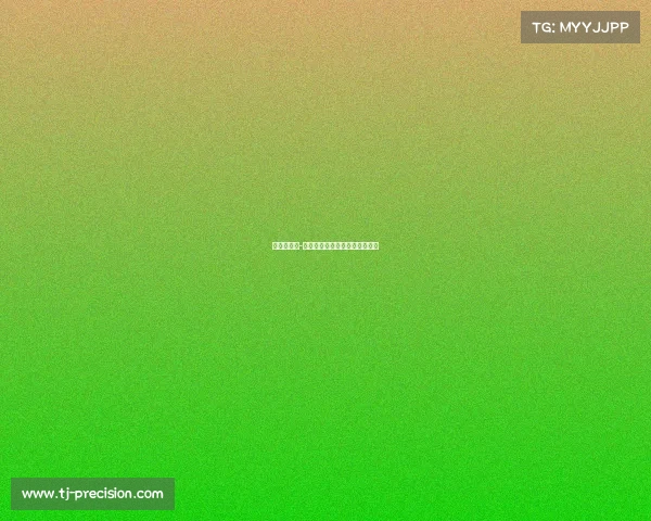 服务标准化-赛事—服务标准化包括哪些内容