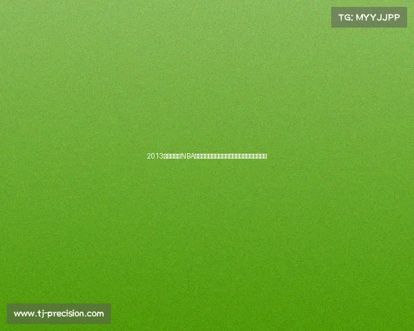 2013金州勇士队NBA赛季赛事全程精彩回顾辉煌战绩与激情瞬间分享